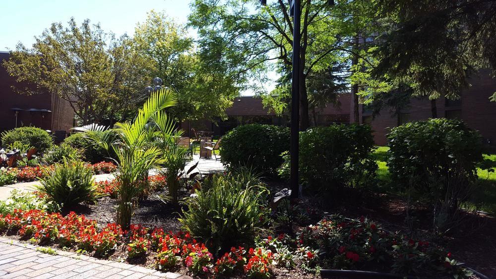 Delta Hotels By Marriott Minneapolis Northeast Luaran gambar
